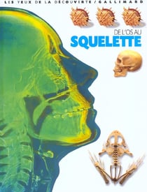 De l'os au squelette