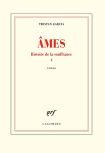 Histoire de la souffrance Tome 1 - âmes