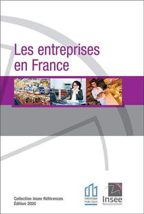 Les entreprises en France - 2020
