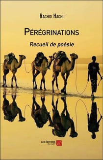 Pérégrinations