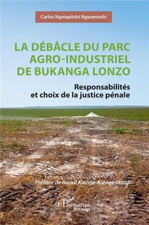 La débâcle du parc agro-industriel de Bukanga Lonzo : Responsabilités et choix de la justice pénale