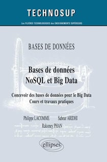 Bases de données NoSQL et Big Data - concevoir des bases de données pour le Big Data - cours et travaux pratiques
