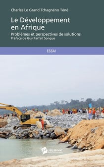Le développement en Afrique : problèmes et perspectives de solutions
