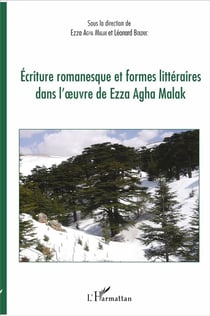 Écriture romanesque et formes littéraires dans l'oeuvre de Ezza Agha malak