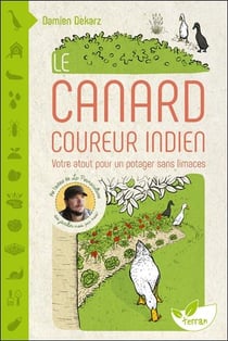 Le canard coureur indien : Votre atout pour un potager sans limaces