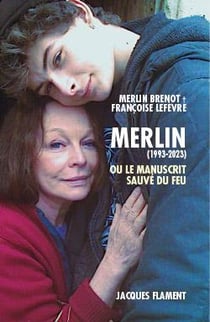 Merlin, ou le manuscrit sauvé du feu