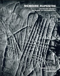 Mémoire rupestre : les roches gravées du massif de Fontainebleau