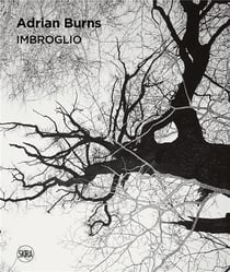Imbroglio