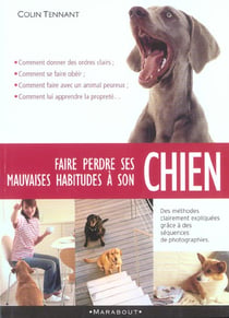 Faire perdre les mauvaises habitudes a son chien
