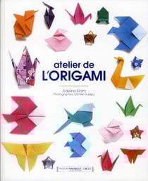Origami - plus de 20 pliages de base