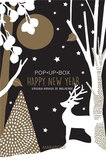 Pop up box - happy new year