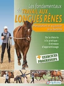 LES FONDAMENTAUX DU TRAVAIL AUX LONGS RENES - MANIPULATIONS ET ACQUISITION DE LA DEXTERITE - DE LA T