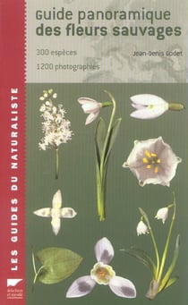Guide panoramique des fleurs sauvages