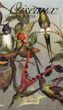 Oiseaux