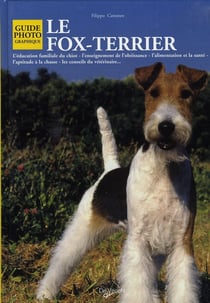 Fox terrier