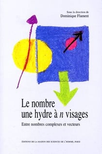Le nombre, une hydre à n visages - entre nombres complexes et vecteurs