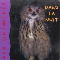 Dans la nuit