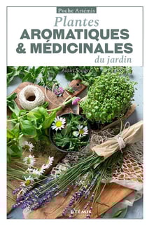 Plantes aromatiques & médicinales du jardin
