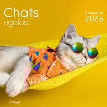Chats rigolos (édition 2026)