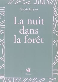 La Nuit Dans La forêt