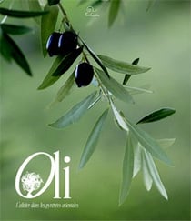 Oli - l'Olivier dans les Pyrénées orientales