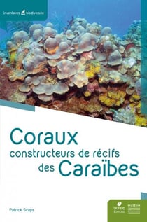 Coraux constructeurs de récifs des caraïbes