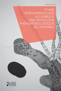D'une phenomenologie du visible a une ontologie phenomenologique de l'invisible