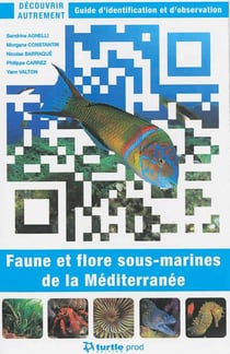 Découvrir autrement faune et flore sous-marines de la Méditerranée