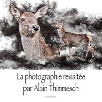 La photographie revisitee par alain thimmesch