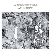 Le paradis en morceaux