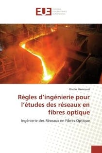 Regles d'ingenierie pour l'etudes des reseaux en fibres optique : Ingenierie des Reseaux en Fibres Optique