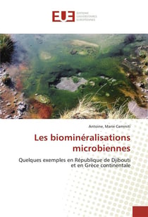 Les biomineralisations microbiennes