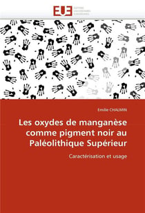 Les oxydes de manganese comme pigment noir au paleolithique superieur