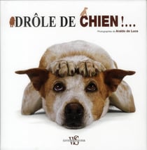 Drole de chien !...