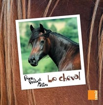 PEAU, POILS ET PATTES : le cheval