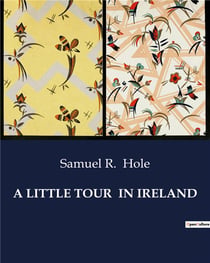 A LITTLE TOUR  IN IRELAND : A Journey Through Ireland's Past and Present