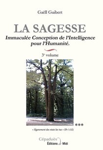La sagesse 3e volume immaculee conception de l'intelligence pour l'humanite