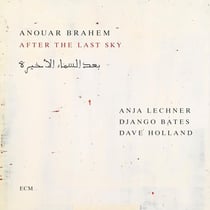 After The Last Sky