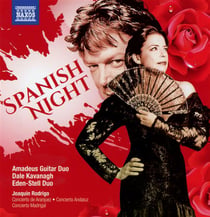 Spanish night
