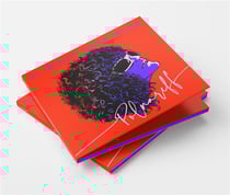 Il était une fois Polnareff