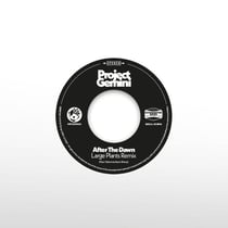 After The Dawn - Large Plants Remix - Darkness Rising - édition limitée