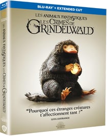 Les Animaux fantastiques : Les Crimes de Grindelwald