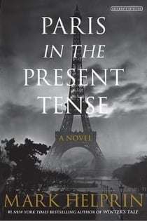 Paris in the present tense - a novel