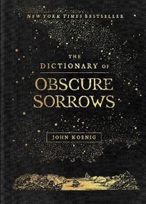 THE DICTIONARY OF OBSCURE SORROWS