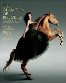 The glamour of bellville sassoon