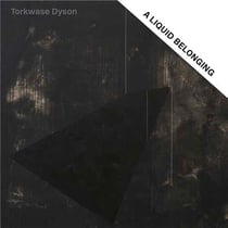 Torkwase dyson: a liquid belonging /anglais