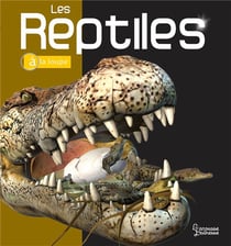Les reptiles à la loupe