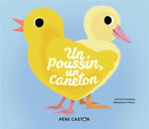 Un poussin, un caneton
