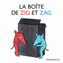 Boite de zig et zag (La)