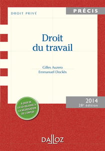Droit du travail (édition 2013)